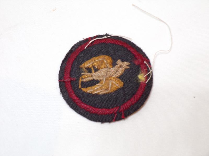 Pre WW2 Girl Guides Skylark Patrol Badge.